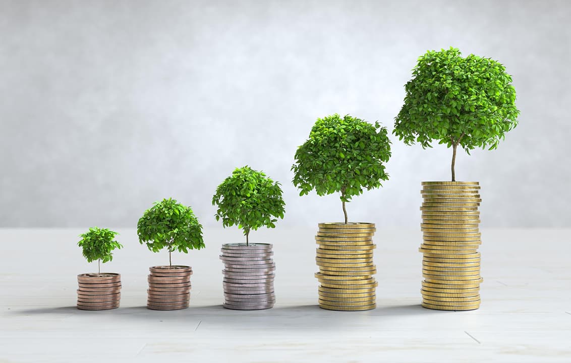 The Power of Boring Investing
